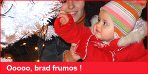 Vine Craciunul !