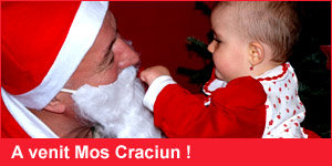 Craciunul  a venit !